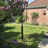 Bungalow 6A - Afbeelding 3